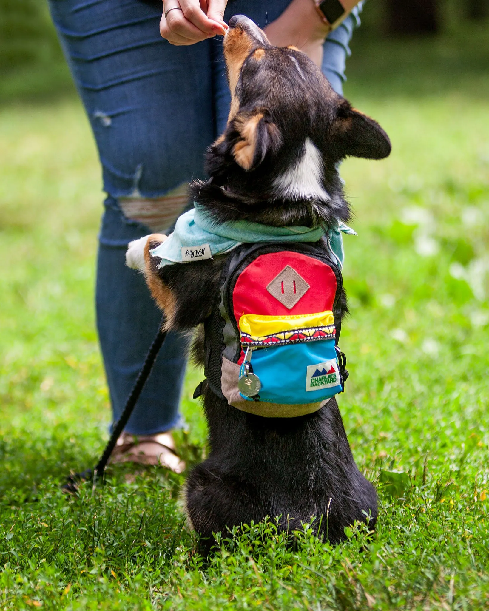 Charlie's Bag Backpack in Red