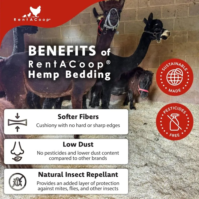 RentACoop Premium Hemp Bedding (300 L) x 1 Pack - E.U. Grown for Chicken Coop, Nesting Boxes, Rabbits, Hamsters, Small Pets, Horses, Etc.