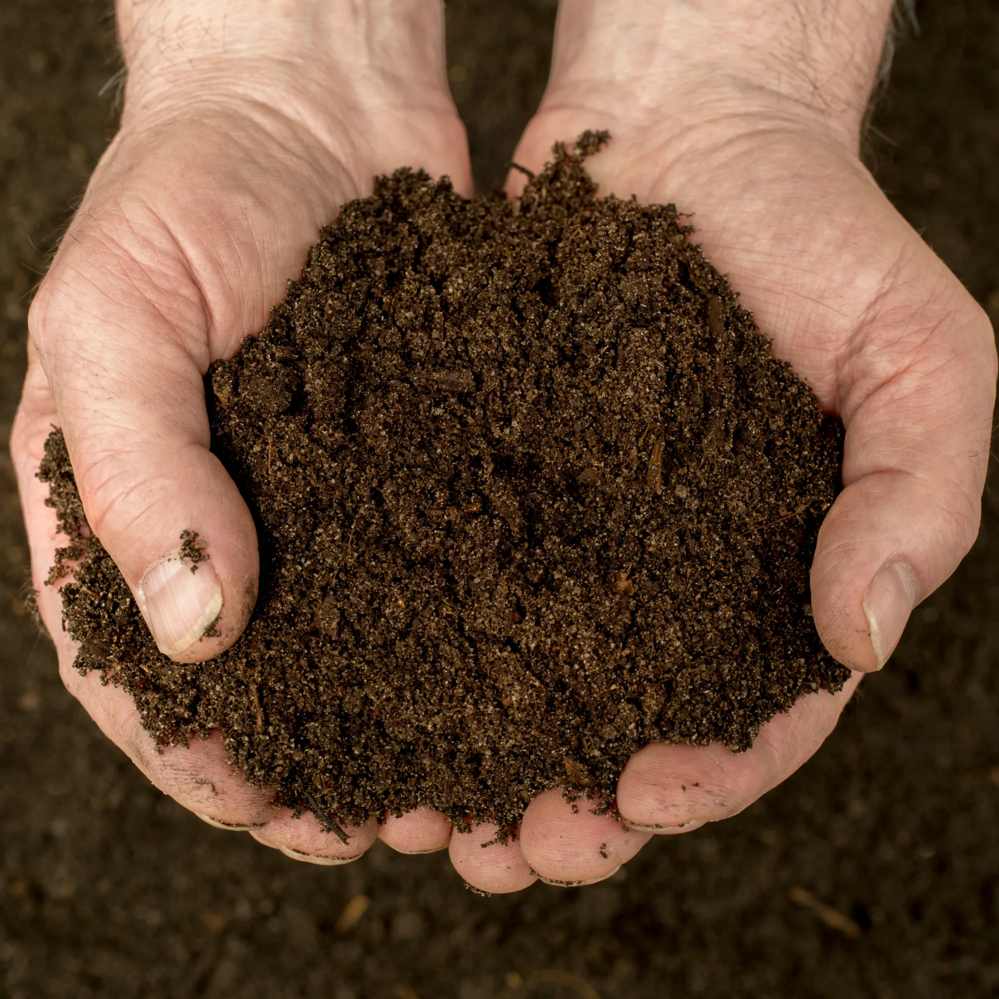 VegeGrow® Welsh Topsoil for vegetables